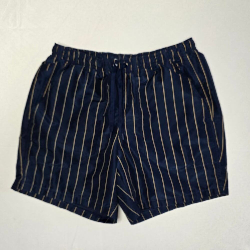 DSG Men's 6” Rec Shorts in Pinstripe University Navy Size S